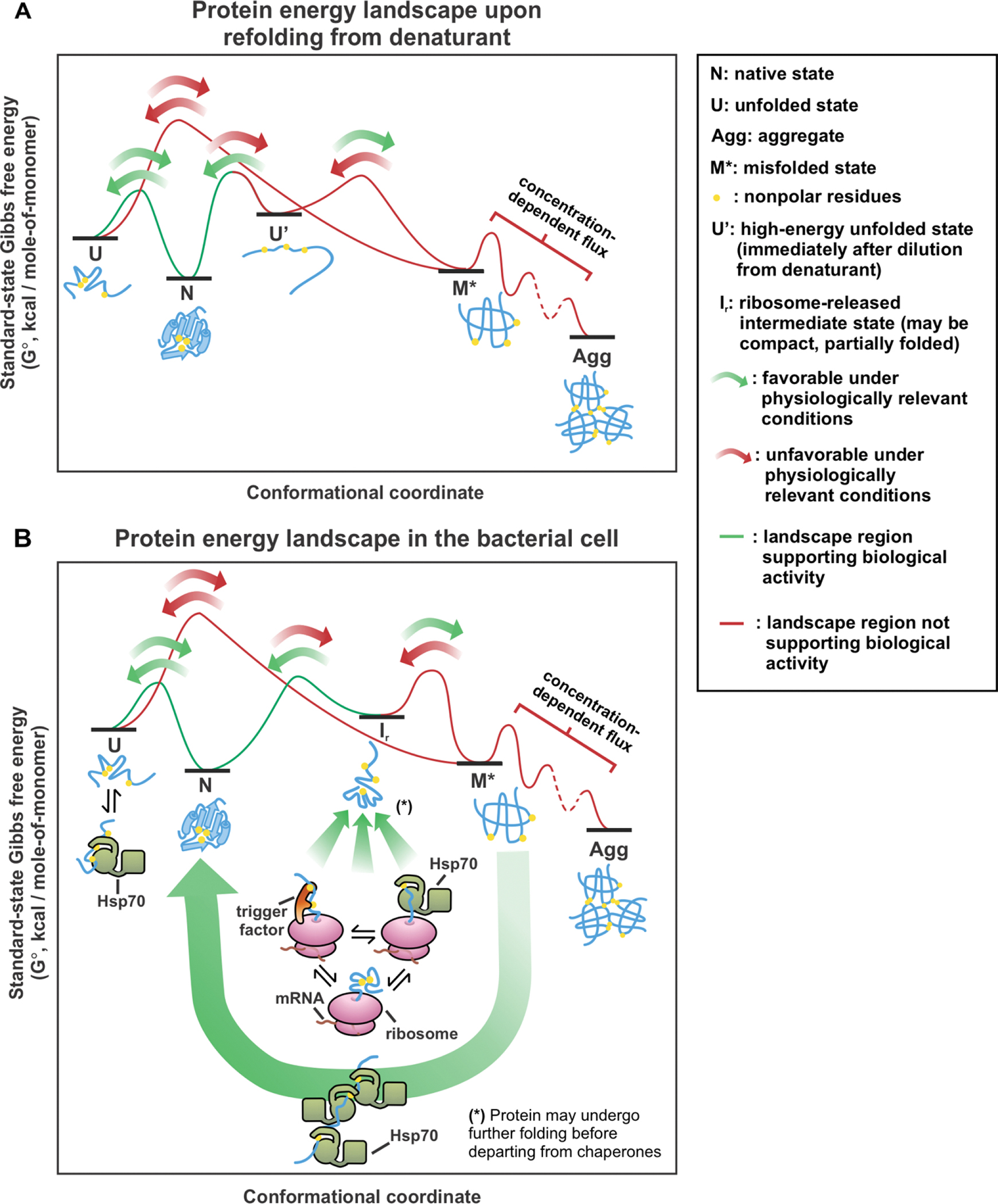 Figure 12.