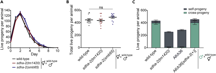 Figure 3