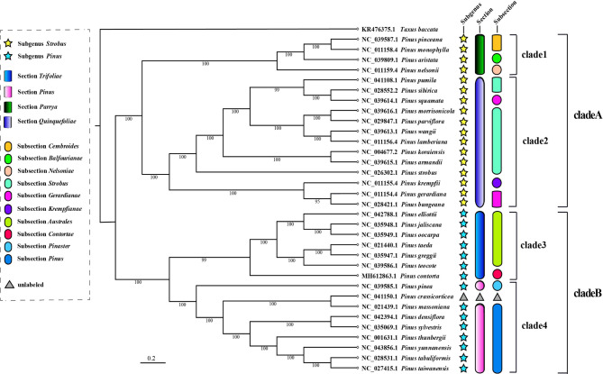 Fig. 7