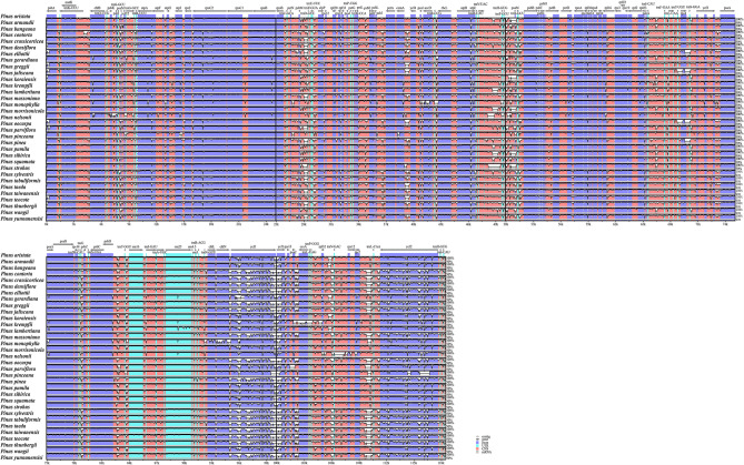 Fig. 2