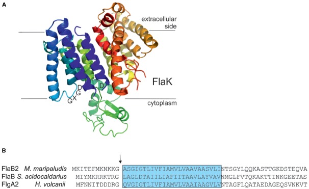 FIGURE 3