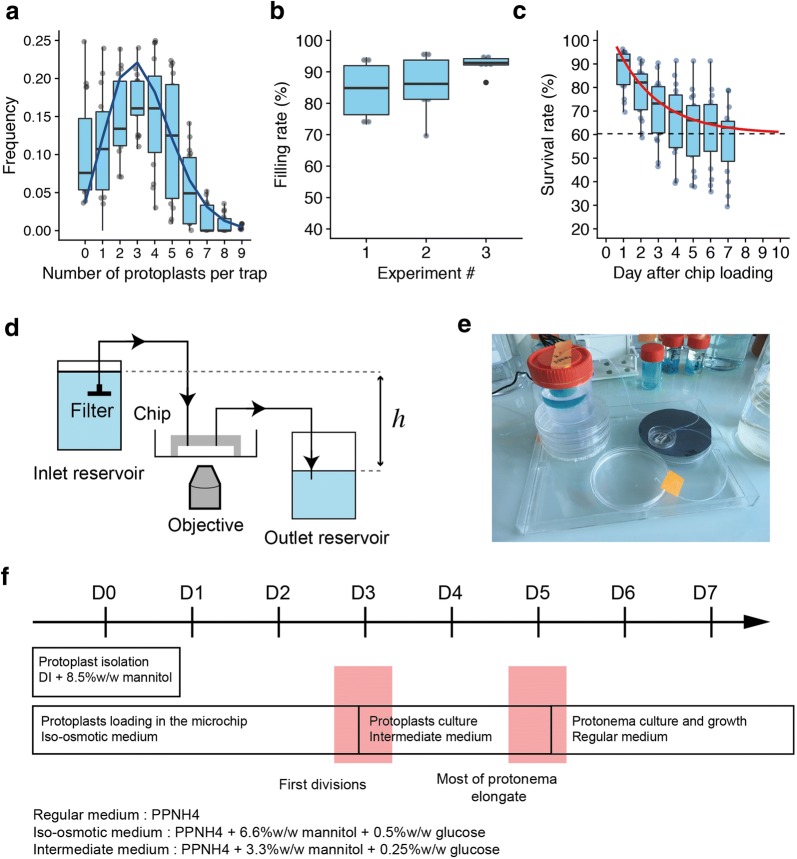 Fig. 3