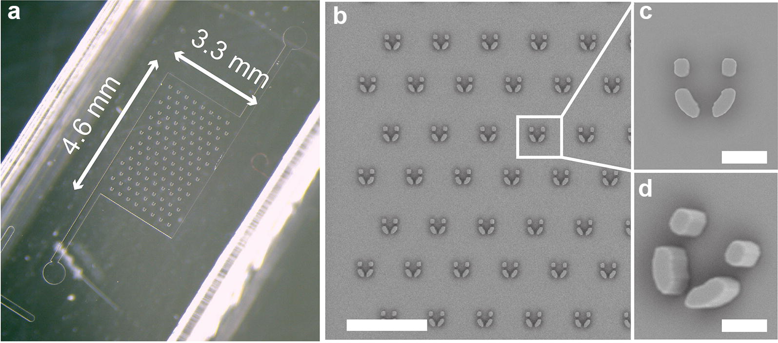 Fig. 2