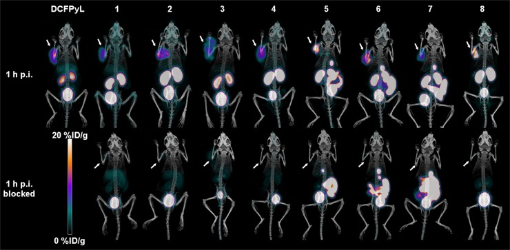 FIGURE 3.