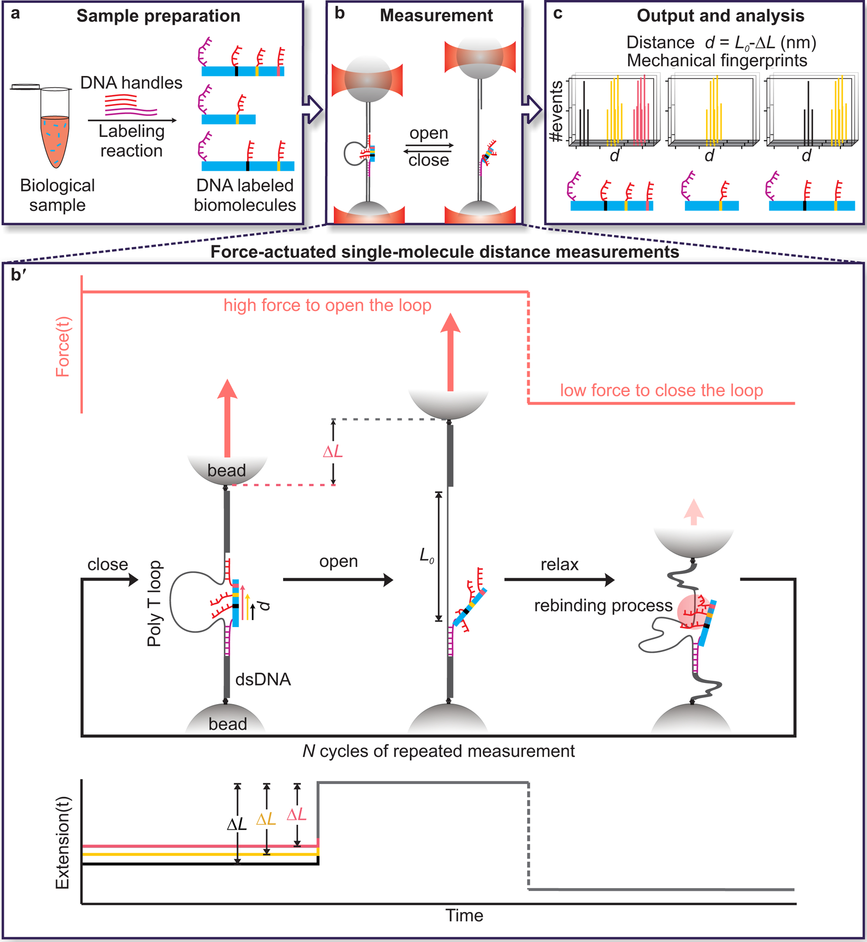 Fig. 1.