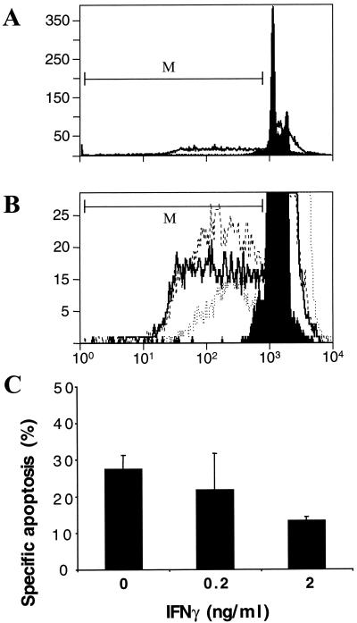 FIG. 1.