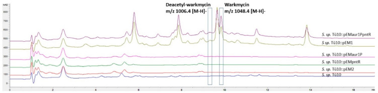 Figure 5