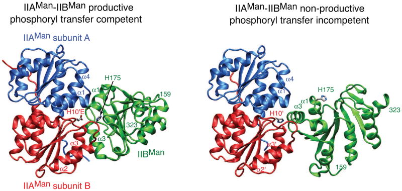 Fig. 8