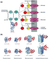 Fig. 1