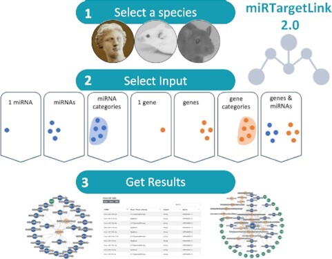 Graphical abstract