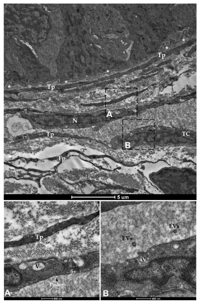 Figure 16