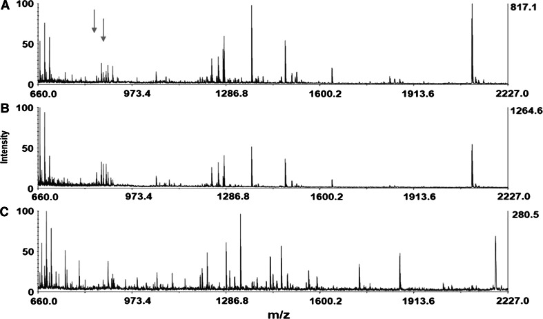 Fig. 3