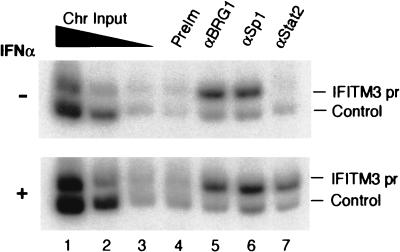 FIG. 5.