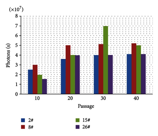 Figure 4