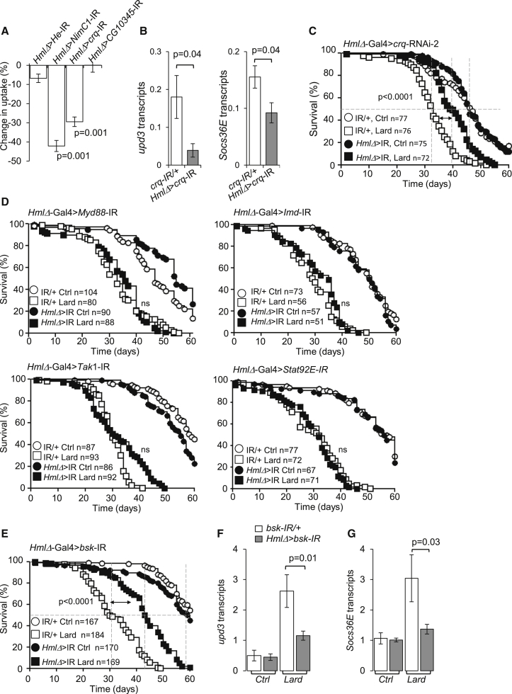 Figure 7