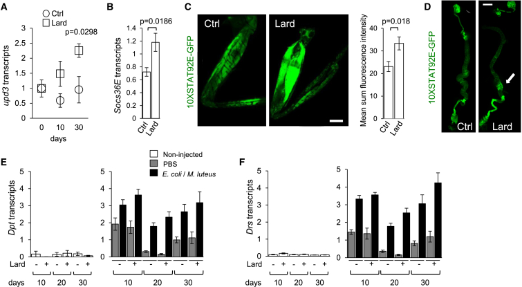 Figure 2