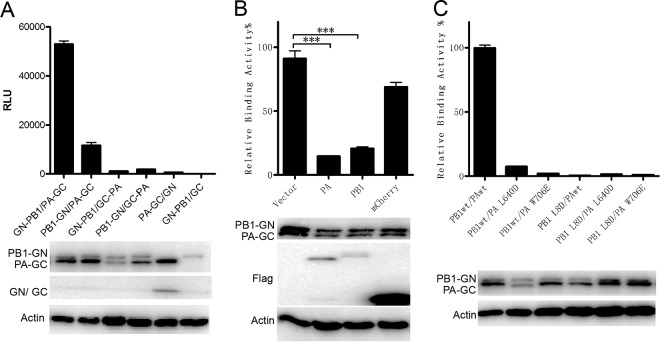 FIG 1