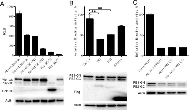 FIG 2