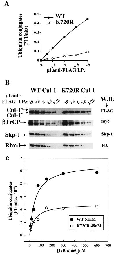 FIG. 5