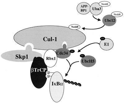 FIG. 6