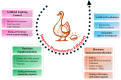 Image, graphical abstract