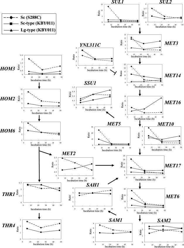 FIG. 3.