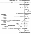 FIG. 1.