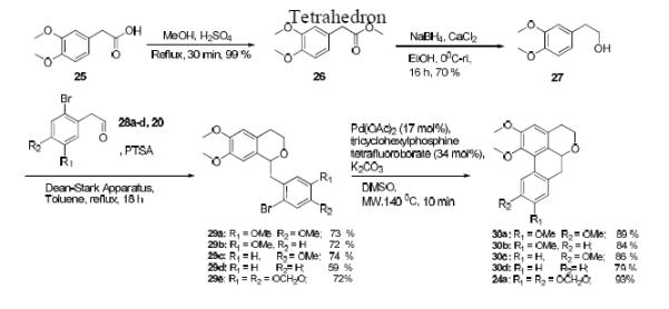 Scheme 2