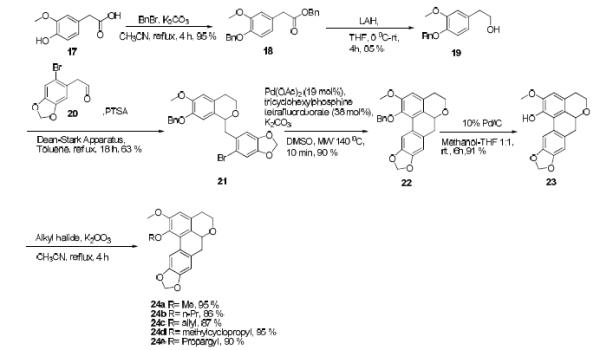 Scheme 1