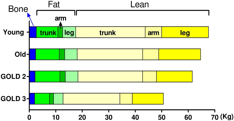 Fig 3