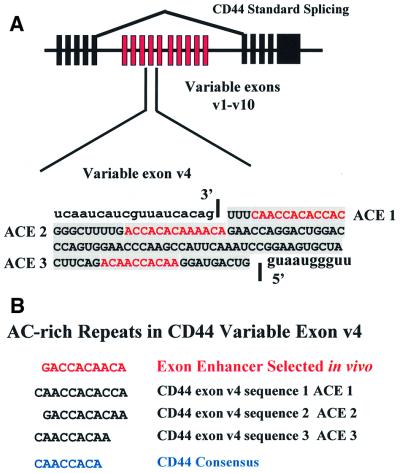 graphic file with name cde372f5.jpg