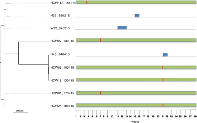 FIGURE 4