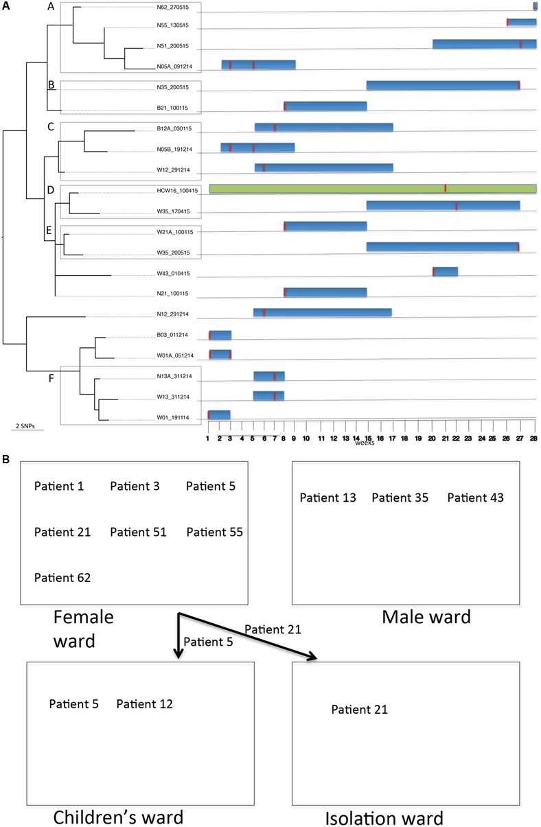 FIGURE 3