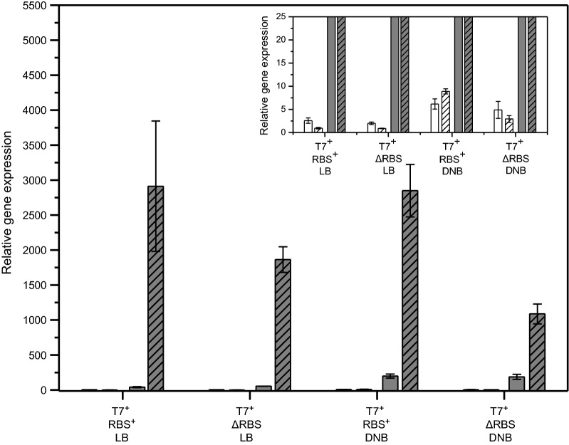 Fig. 7