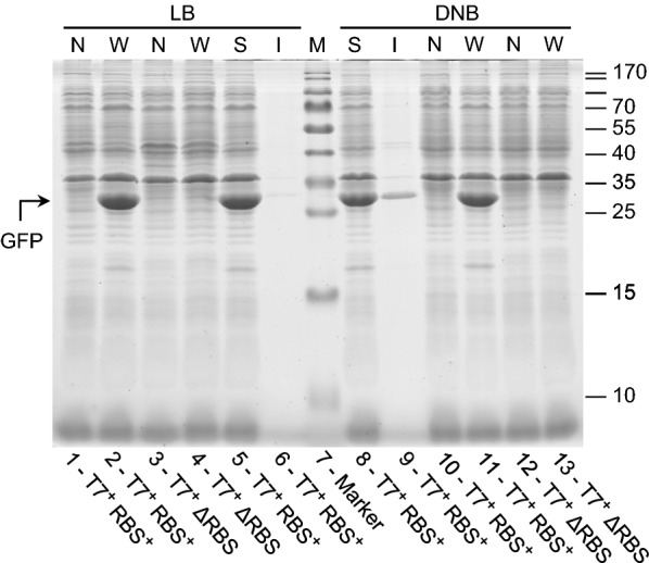 Fig. 6