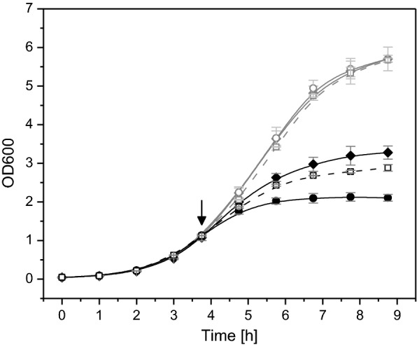 Fig. 8