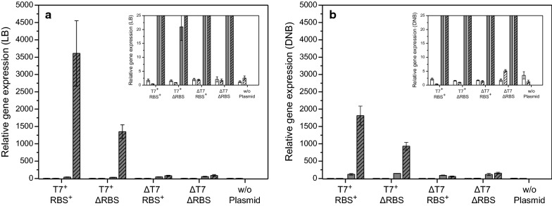 Fig. 4