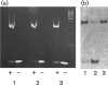 Fig. 3.
