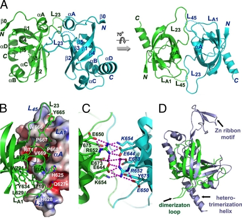 Fig 5