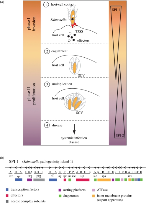 Figure 1.