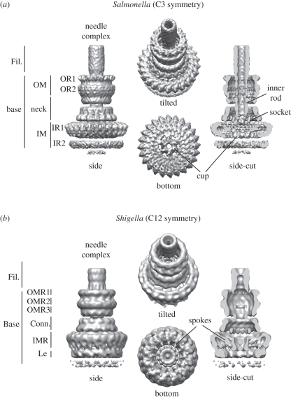 Figure 2.