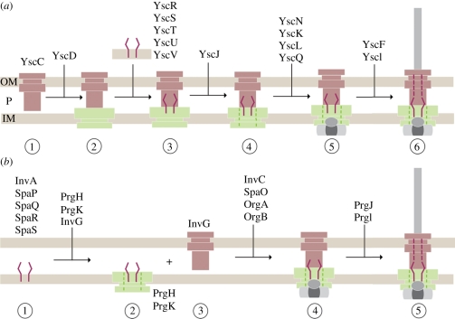 Figure 5.