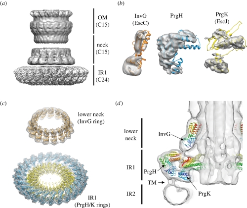 Figure 4.