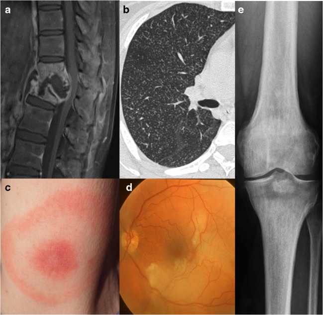 Fig. 5