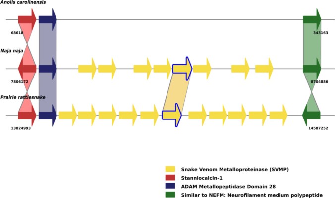 Extended Data Fig. 4