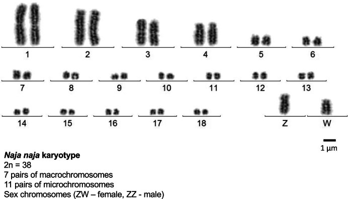 Extended Data Fig. 2