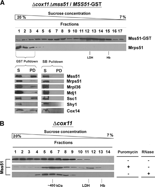 FIG. 7.