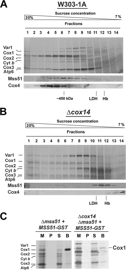 FIG. 4.