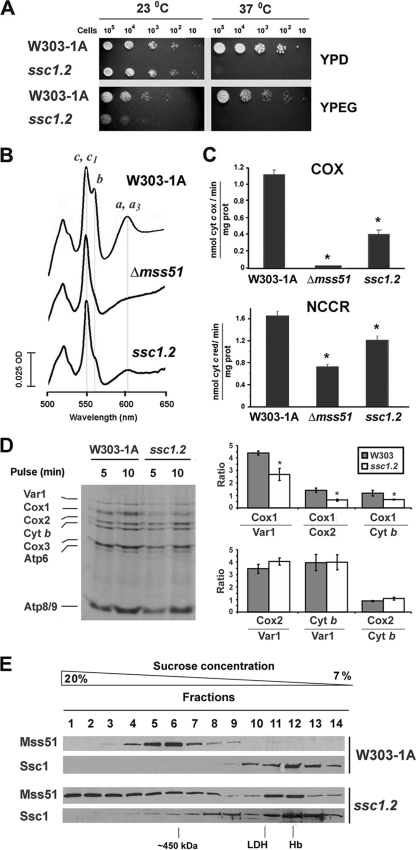 FIG. 6.