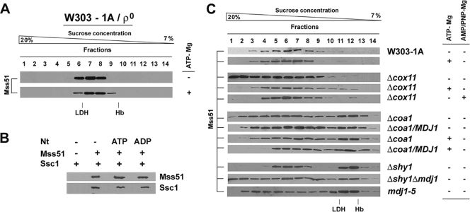 FIG. 8.